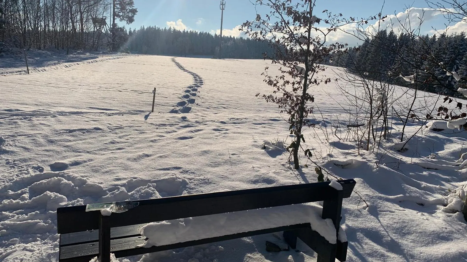 Schoene Ferienwohnung In Schauenstein-Hof Im Frankenwald Mit Loggia 100Qm Schauenstein